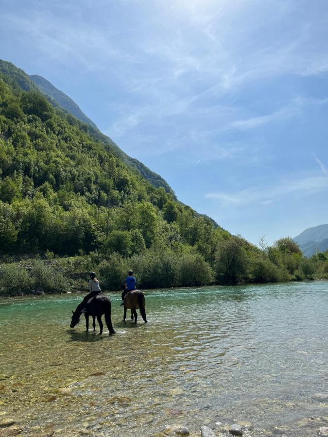 Apartment Baban In Zaga, Slovenia Esterno foto